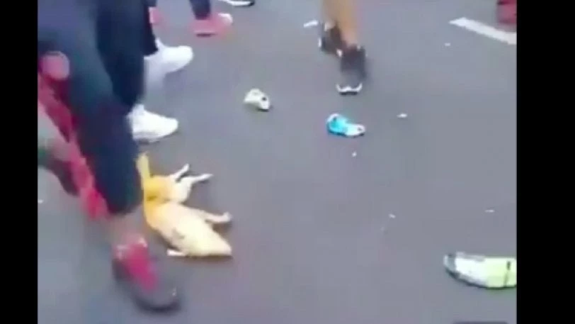 Οπαδοί της Ρίβερ ποδοπατούν γουρούνι μέχρι θανάτου επειδή έτσι φωνάζουν εκείνους της Μπόκα – Σκληρό βίντεο